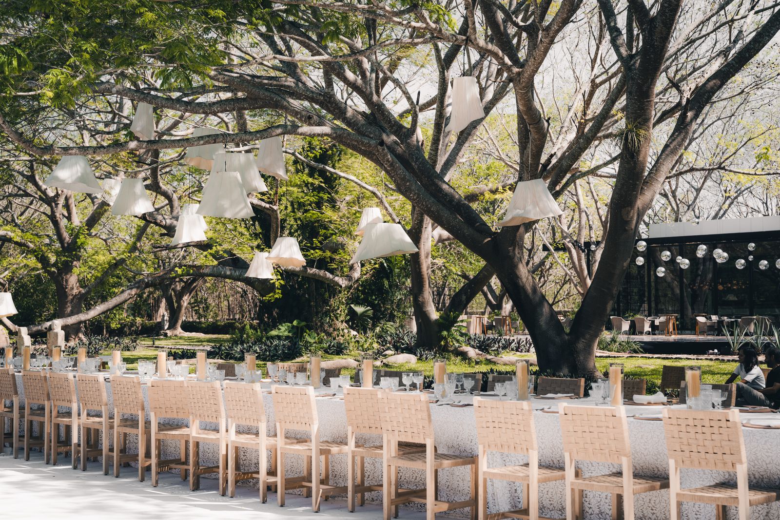 Comedor bajo el árbol con luminarias de tela